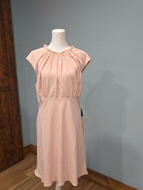 Adrianna Papell Pink Dress 16